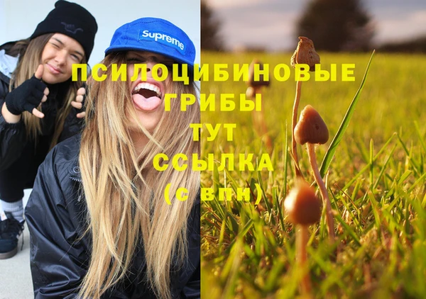 герыч Алексин