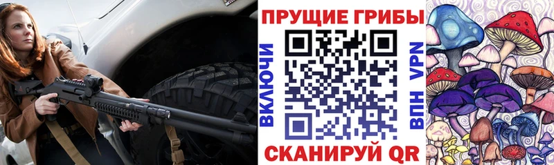 Галлюциногенные грибы Cubensis  Заозёрный 